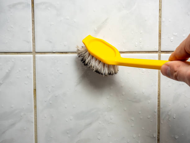 Best Water Damage Restoration  in Merrimac, VA