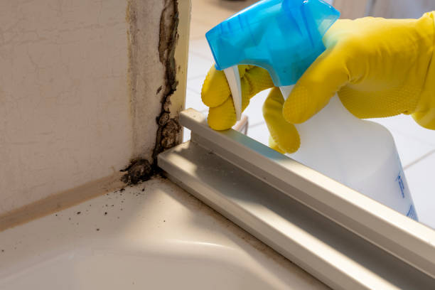 Best Mold Testing  in Merrimac, VA