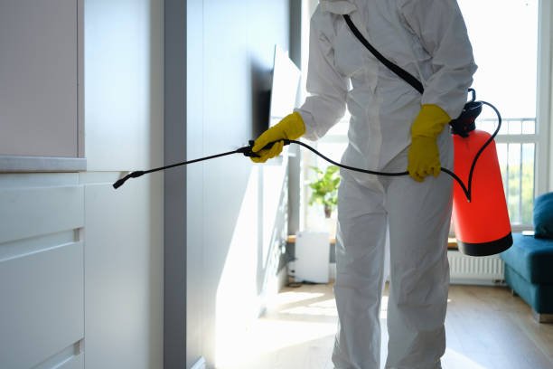 Mold Testing and Removal in Merrimac, VA