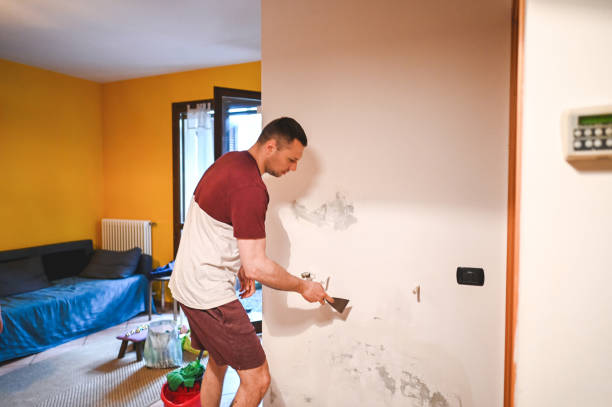 Best Mold Removal Process  in Merrimac, VA