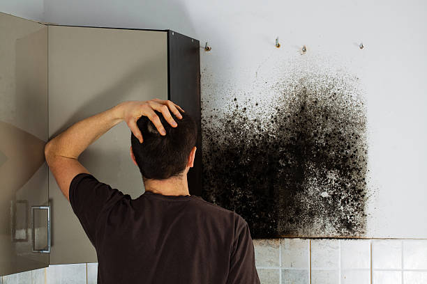 Best Certified Mold Removal  in Merrimac, VA